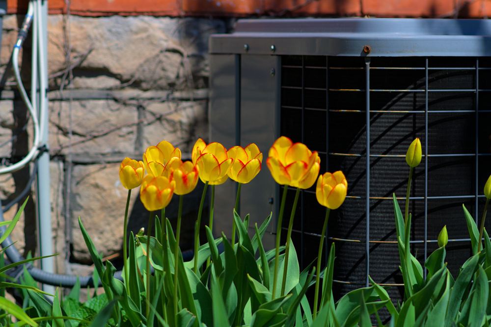 AC Tune-Up in Kokomo, IN