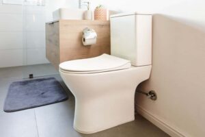 ultimate toilet buying guide